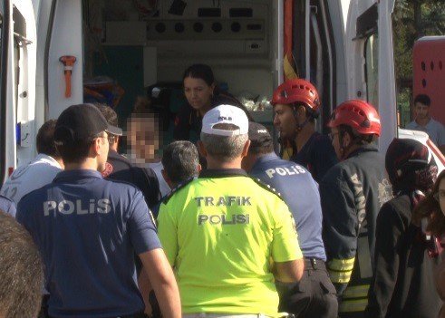 İntihardan vazgeçmek için istediği kedisini metrelerce yüksekten atıp öldürdü