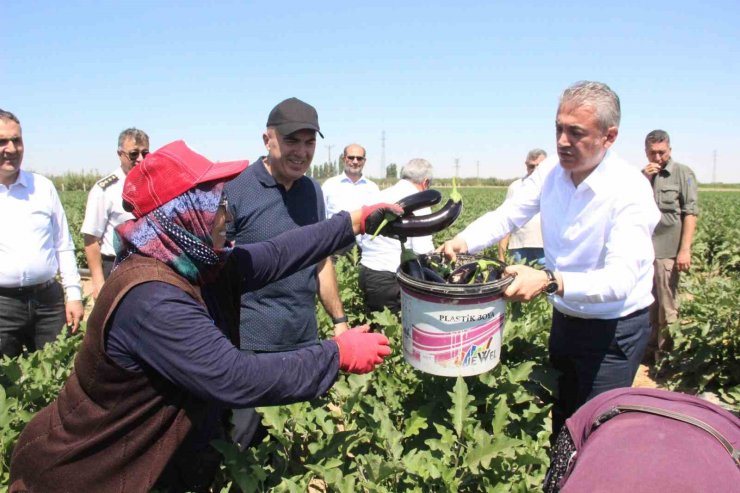 Karaman’da sebze üretimi artıyor