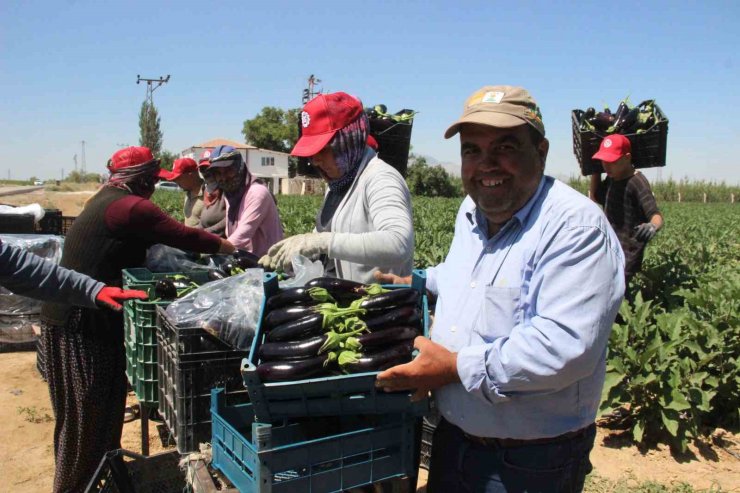 Karaman’da sebze üretimi artıyor