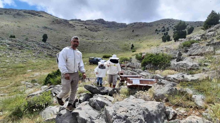 2 bin 500 rakımlı yaylalarda aile boyu arı mesaisi