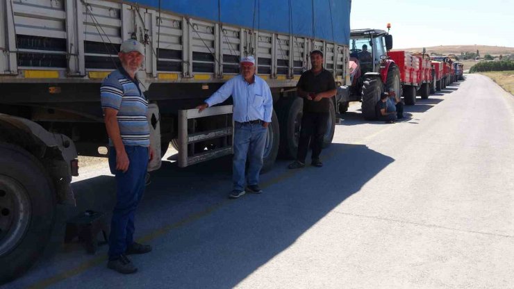 Yozgat il merkezinde TMO günlük bin ton hububat alımı yapıyor