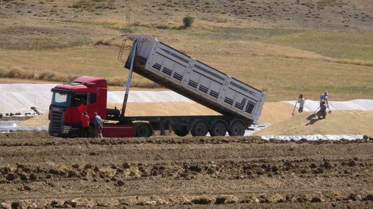 Yozgat il merkezinde TMO günlük bin ton hububat alımı yapıyor