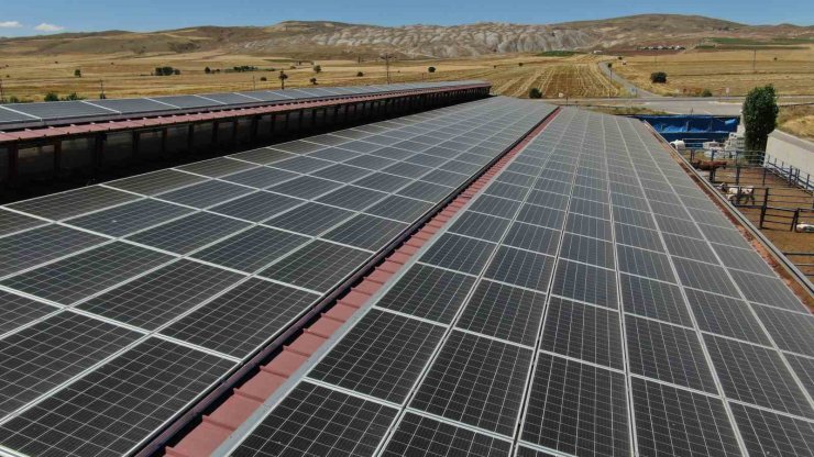 Tükettiği enerjiden fazlasını üretti, fazla ürettiği elektriği aktaracak yer arıyor