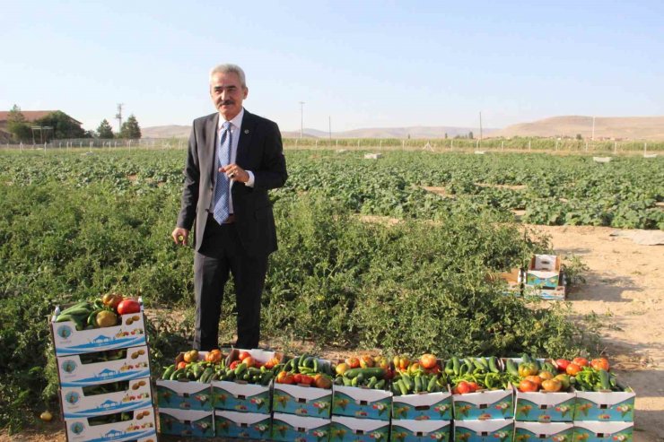 Karaman’ın Ayrancı ilçesinde halk salatalık ve domatesin kilosunu 1 liradan alıyor