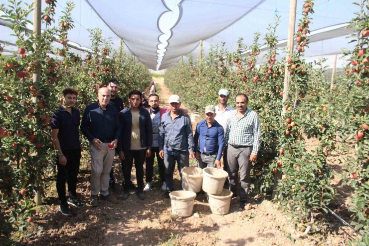 Türkiye’nin elma deposu Karaman’da 55 gün sürecek olan elma hasadı başladı