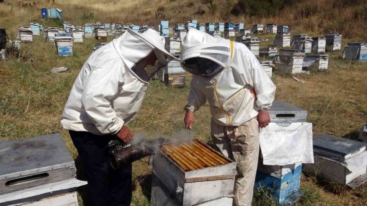 Yozgat’ta ‘tatlı’ telaş bir ay geç başladı