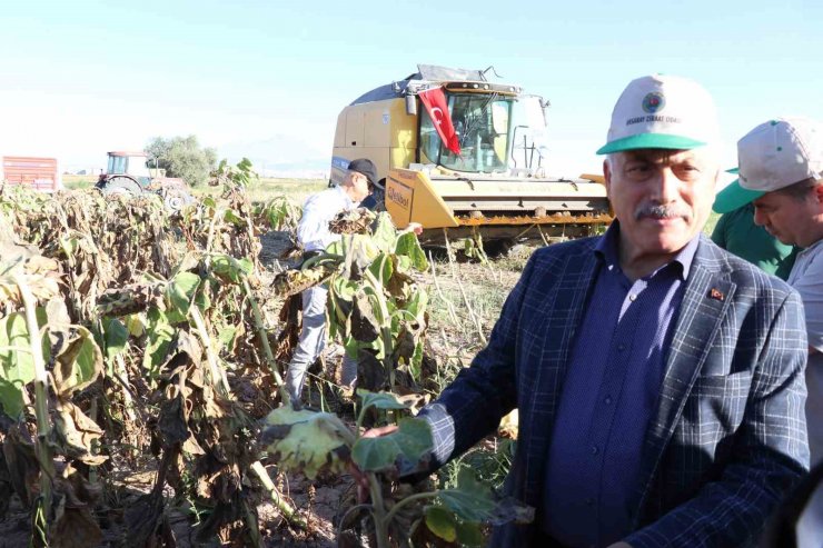 Ay çekirdeğinin kalbinde hasat başladı