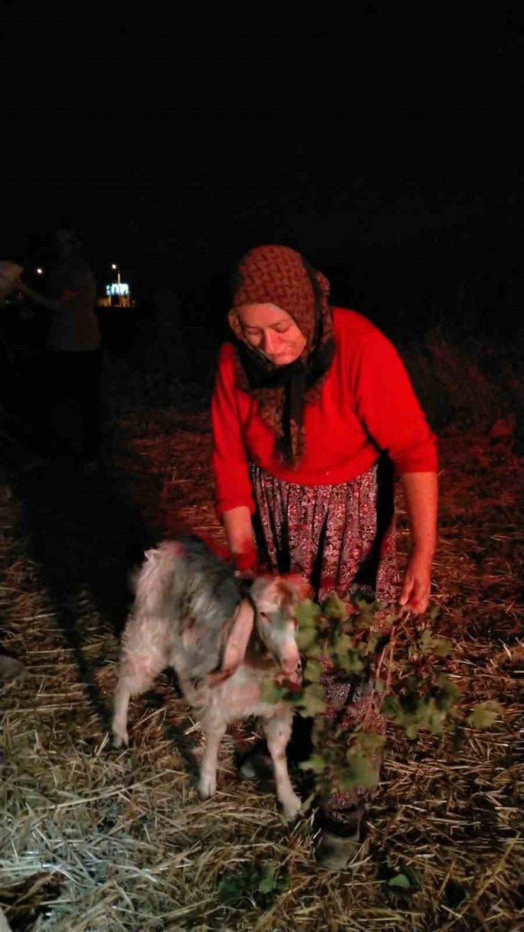 Konya’da 12 metrelik kuyuya düşen keçiyi itfaiye kurtardı