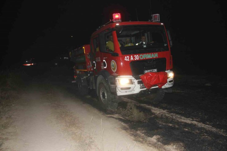 Anız yangını paniğine neden oldu