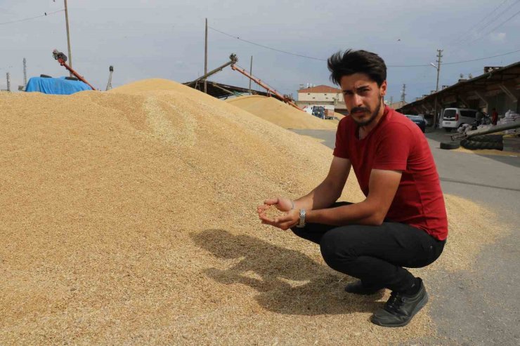 Sivas’ta tüccarlarda hububat alımı yoğunluğu