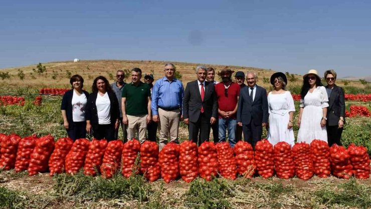 Ekonomisine can kattı: Kadın girişimci devletten aldığı destekle lavanta yetiştiriyor