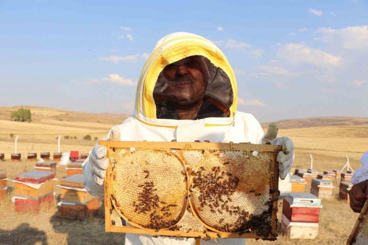 Sivas çiçek balı üretiminde ilk sırada