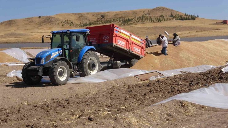 TMO Yozgat genelinde 800 bin ton hububat alımı gerçekleştirdi