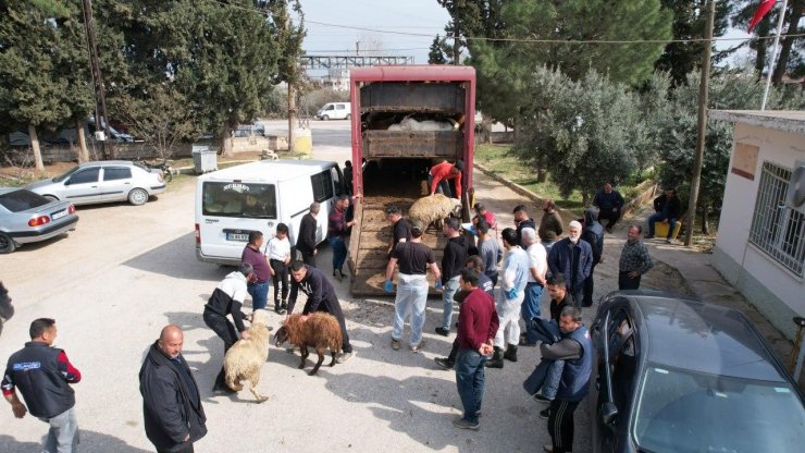 Depremden etkilenen illerde küçükbaş, kanatlı hayvan ve arılı kovan dağıtımları tamamlandı