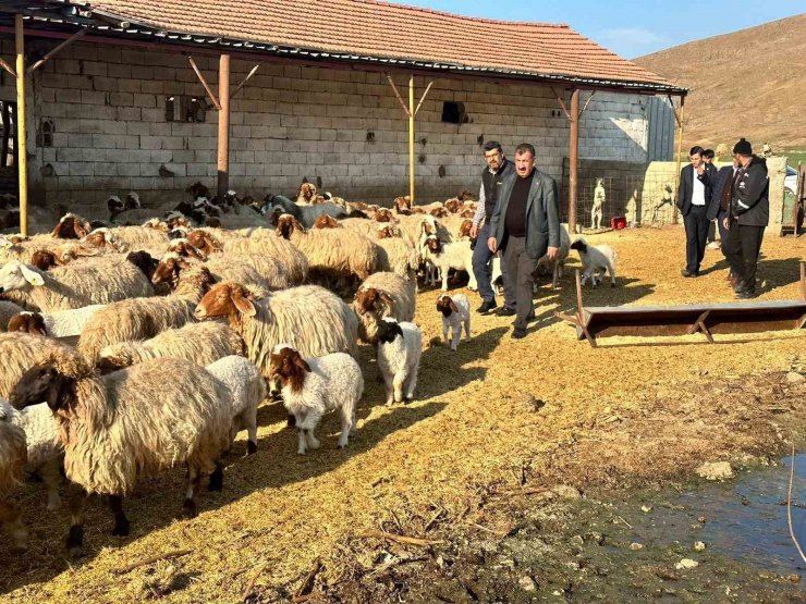 TÜDKİYEB Genel Başkanı Nihat Çelik: