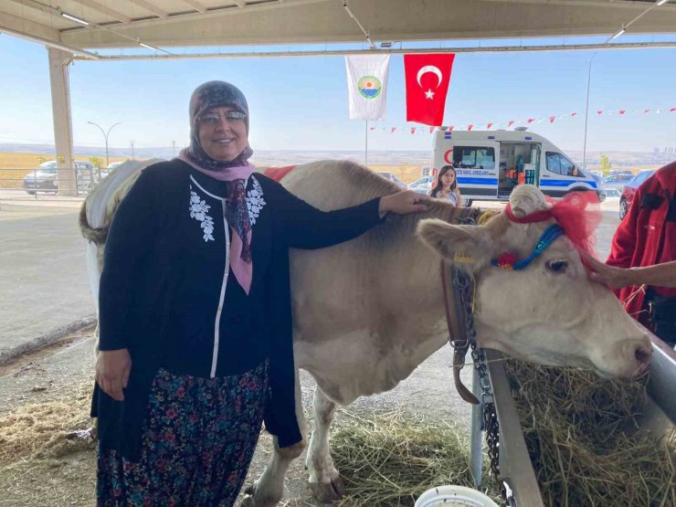 Süt sağma yarışmasında renkli görüntüler yaşandı