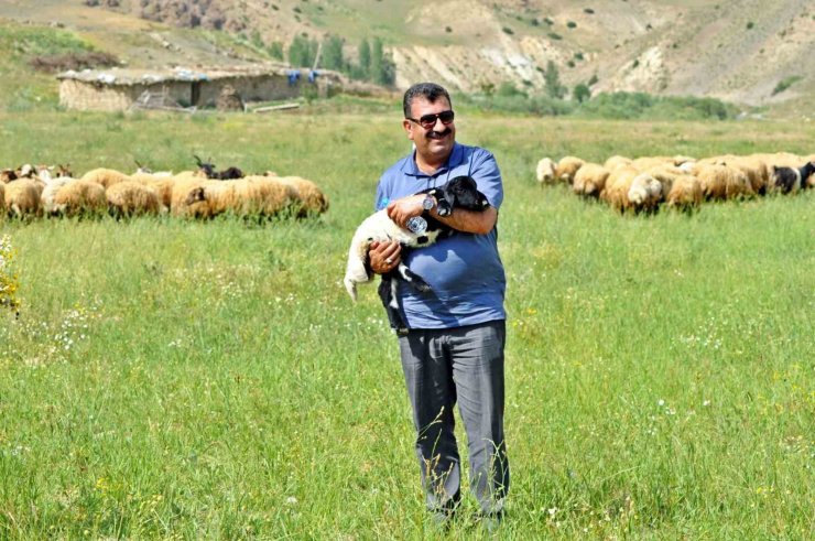 TÜDKİYEB Genel Başkanı Çelik: “Hibe projelerinin hayata geçirilmesi hayvan sayımızın artırılması bakımından önemli”