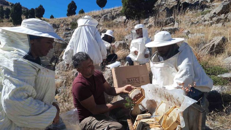 2 bin 500 metre rakımda sahiplendirilen kovanlardaki ballar hasat edildi