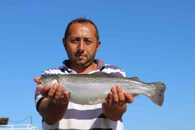 Rusya’nın somon ihtiyacı denize kıyısı olmayan Sivas’tan karşılanıyor