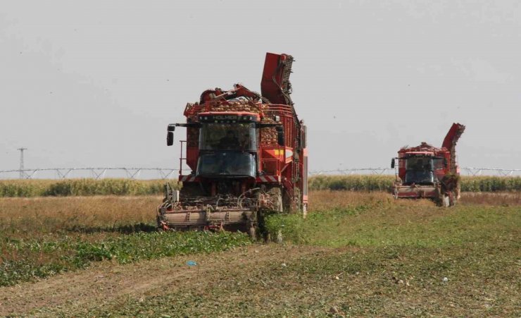 Konya Şeker’den 180 milyon 281 bin TL pancar söküm avansı