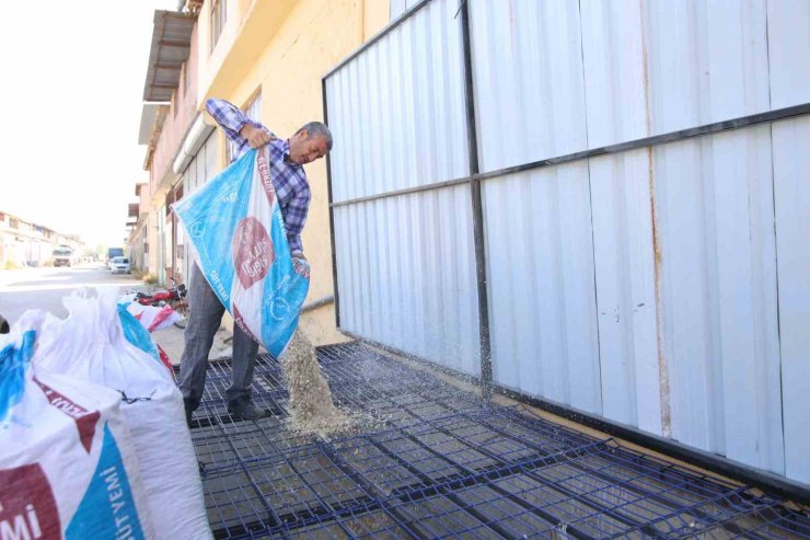 Konya’da kabak çekirdeği eleme tesisi üreticiye kolaylık sağlıyor