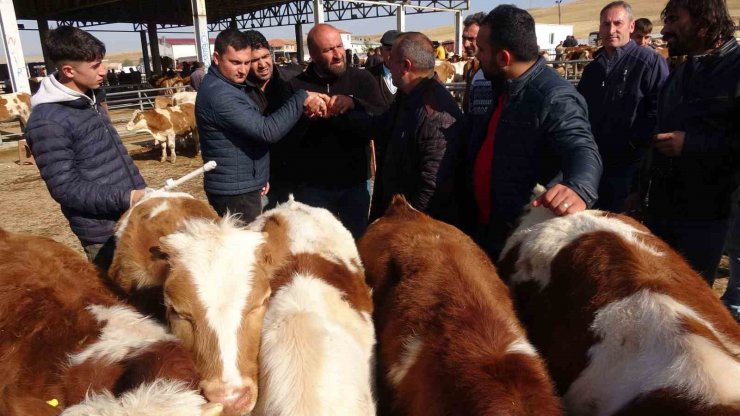 Yasakların ardından Yozgat’ta canlı hayvan pazarlarında yoğunluk sürüyor