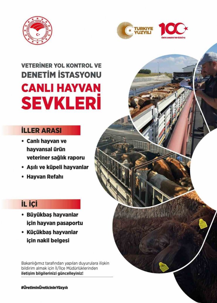 Hayvan hareketleri kontrol altında