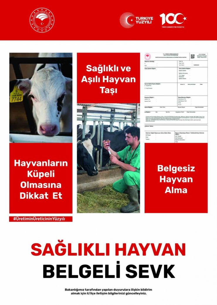 Hayvan hareketleri kontrol altında