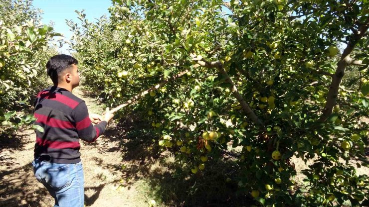 Köyde hayata geçen proje göçü tersine çevirdi