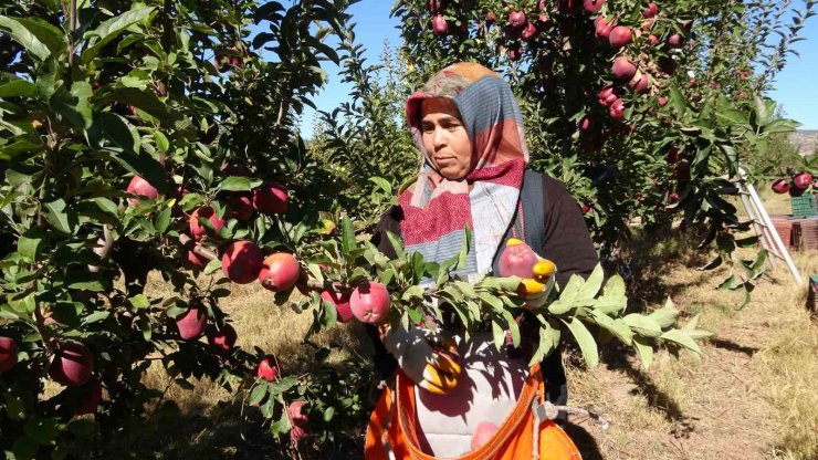 Köyde hayata geçen proje göçü tersine çevirdi