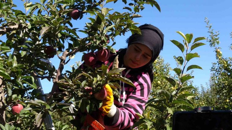 Köyde hayata geçen proje göçü tersine çevirdi