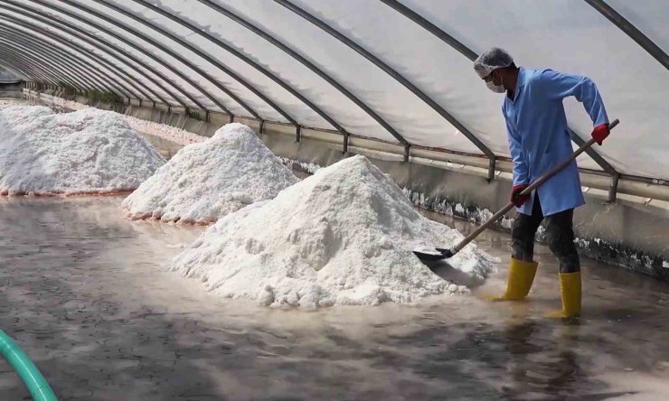 Yerin bin 300 metre altından çıkıyor: Mineral deposu tuz 11 ülkeye ihraç ediliyor