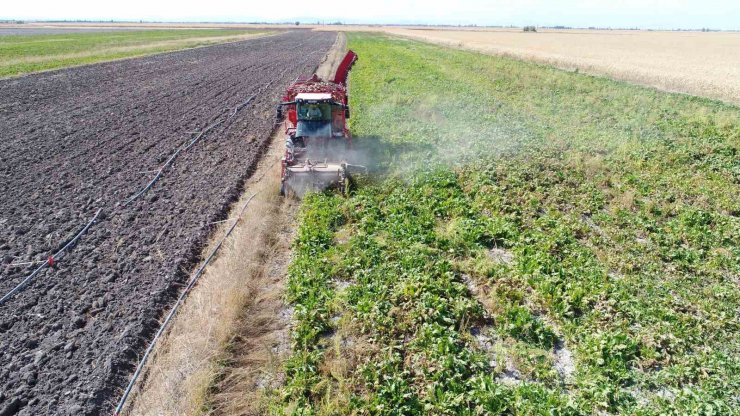 Tahıl ambarı Konya’da 7 milyon ton pancar rekolte beklentisi