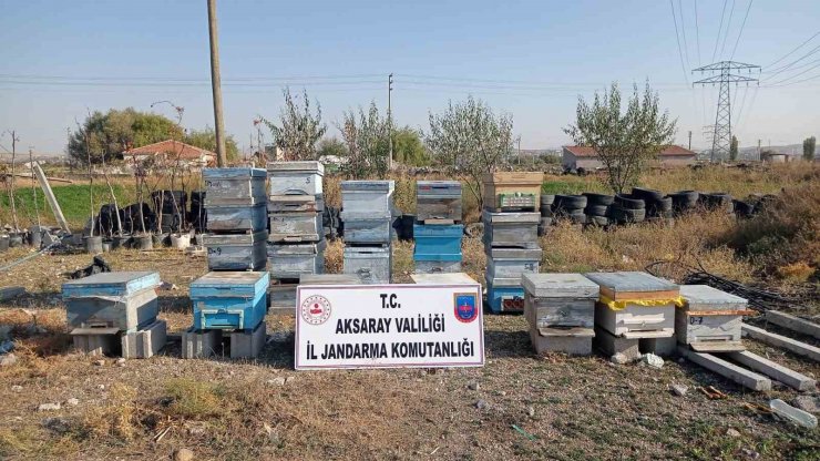 Aksaray’da çalınan arı kovanları Nevşehir’de bulundu