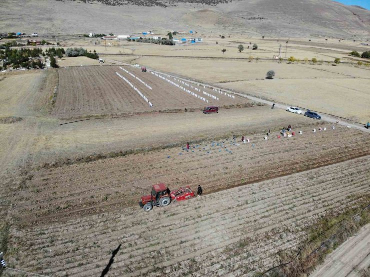 Nevşehir’de patates hasadı başladı