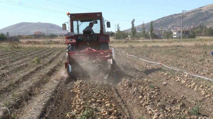 Nevşehir’de patates hasadı başladı