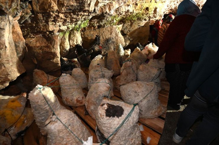 Selçuklu Belediyesi kırsal kalkınmaya destek olmaya devam ediyor