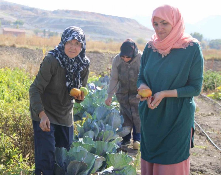 Kadınlar topraktan sofraya üretim yapıyor