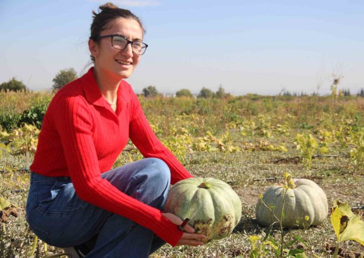 Kadınlar topraktan sofraya üretim yapıyor