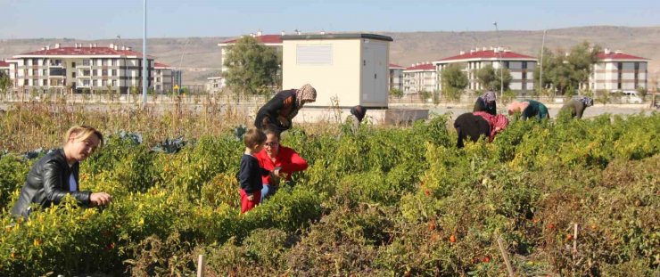 Kadınlar topraktan sofraya üretim yapıyor