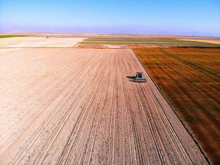 Uzmanlardan, rekolteyi yüzde 50’ye kadar arttırmak için sertifikalı tohum uyarısı