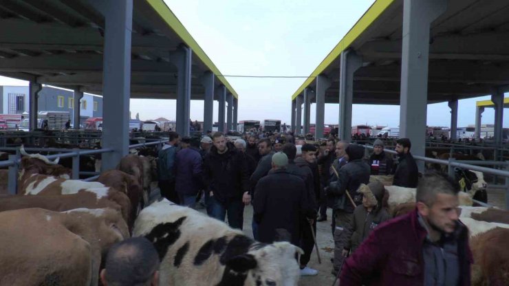 İç Anadolu’nun en büyük Canlı Hayvan Borsası’na üreticilerden yoğun ilgi