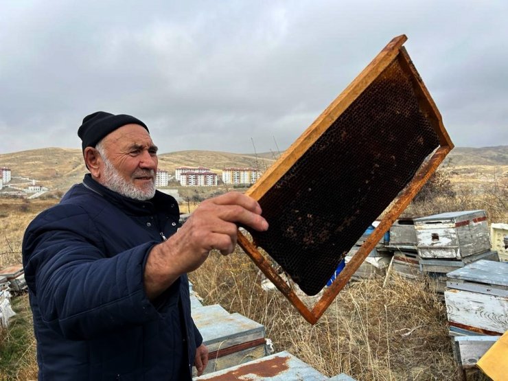 Yozgat’ta varroa hastalığı 15 bin kovana zarar verdi