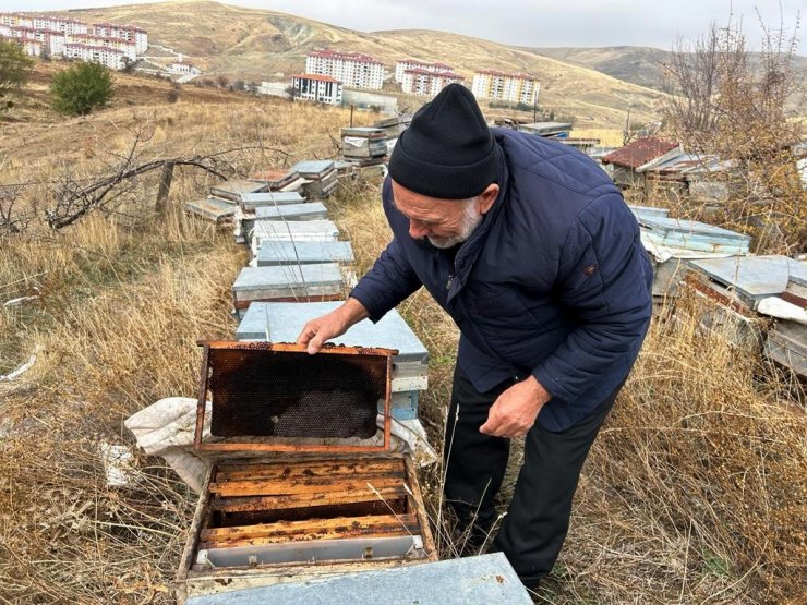 Yozgat’ta varroa hastalığı 15 bin kovana zarar verdi