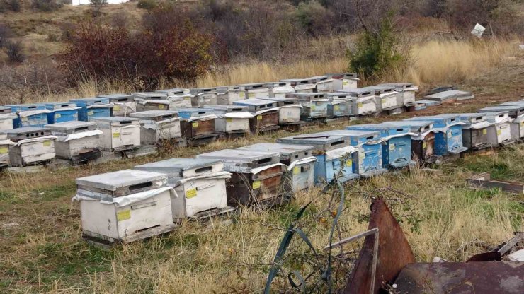 Yozgat’ta varroa hastalığı 15 bin kovana zarar verdi