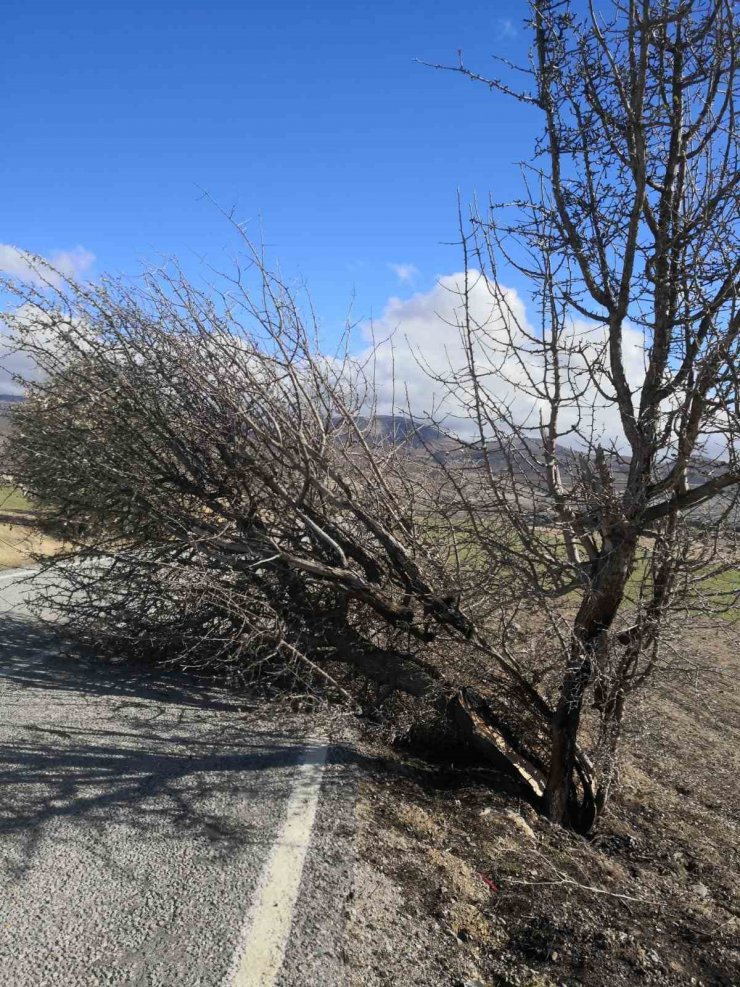 Beyşehir’de fırtınada evlerin çatısı uçtu