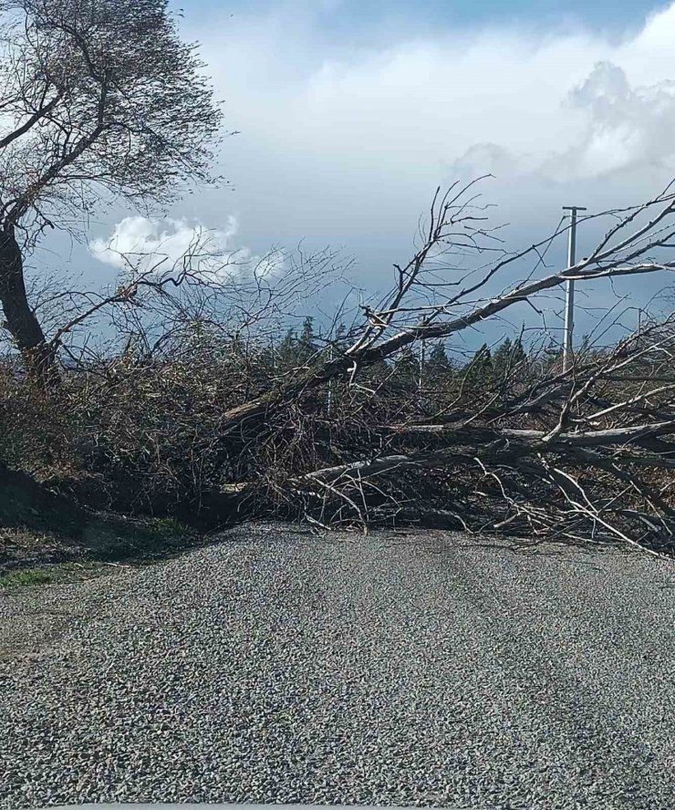 Beyşehir’de fırtınada evlerin çatısı uçtu