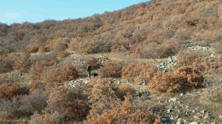 Aksaray jandarma dron ile kaçak avcı peşinde