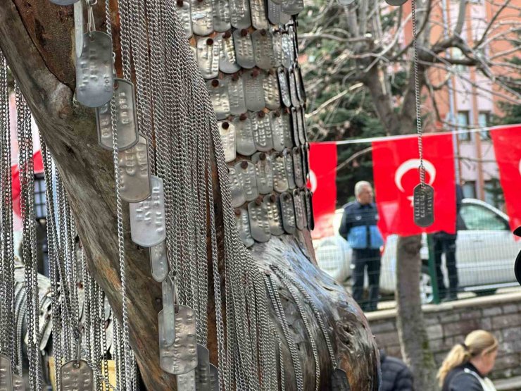 Kuzey Irak şehitlerinin künyeleri Şehit Ağacı’nda